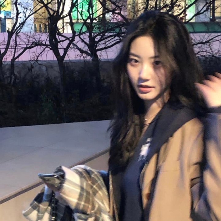 乌衣夜行