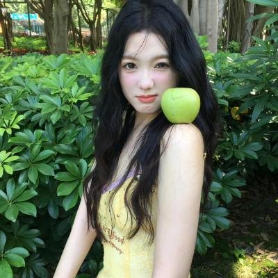 社会中坚